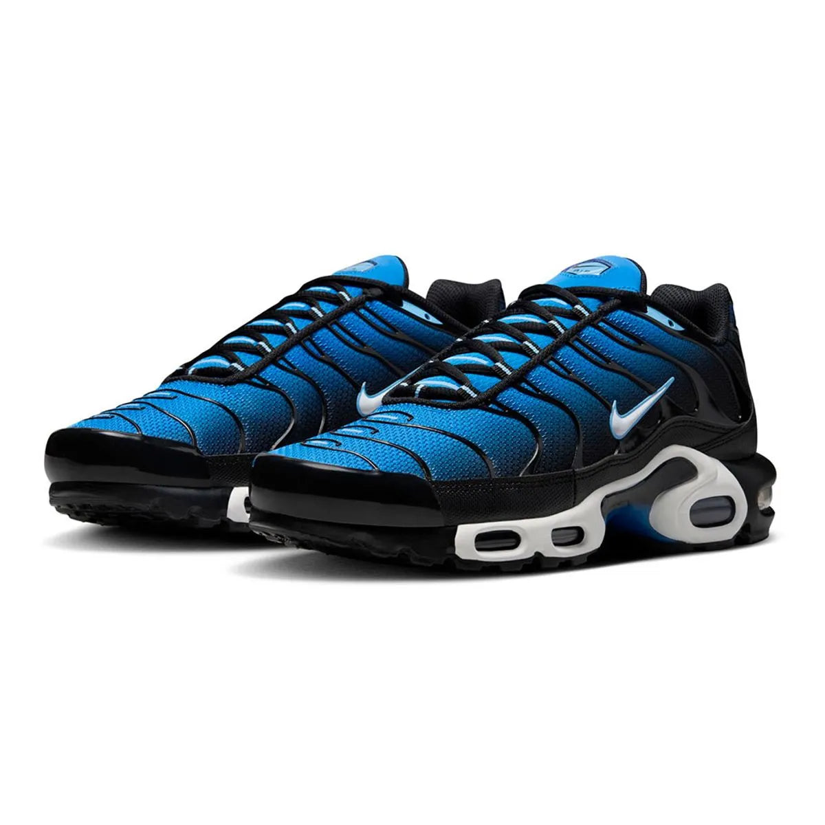 Air Max Plus TN 1 "Aquarius"