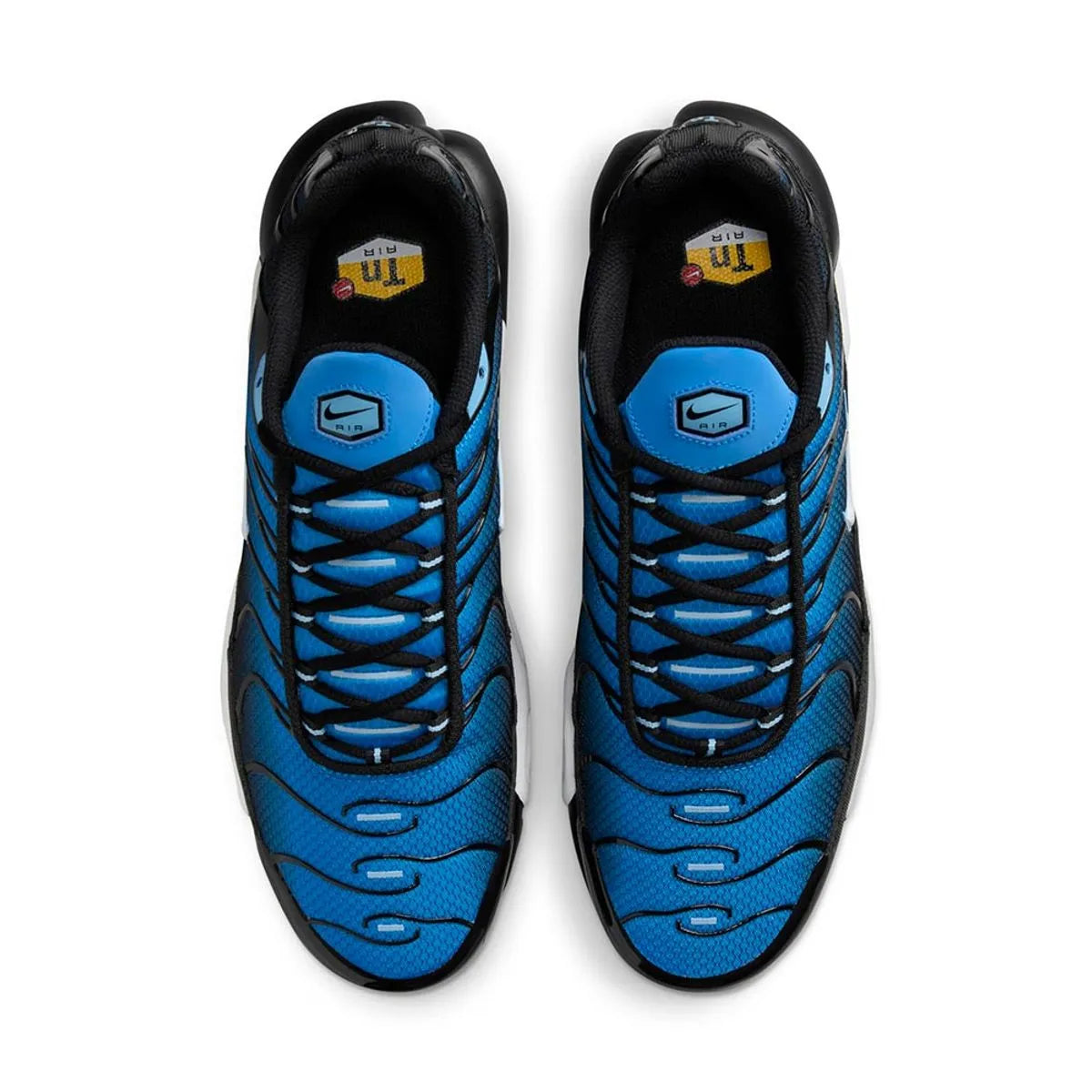 Air Max Plus TN 1 "Aquarius"
