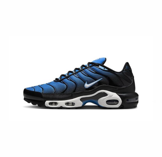 Air Max Plus TN 1 "Aquarius"
