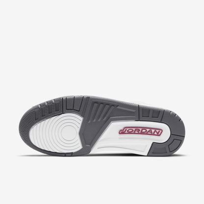 Air Jordan 3 “Cool Grey”