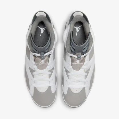 Air Jordan 6 “Cool Grey”